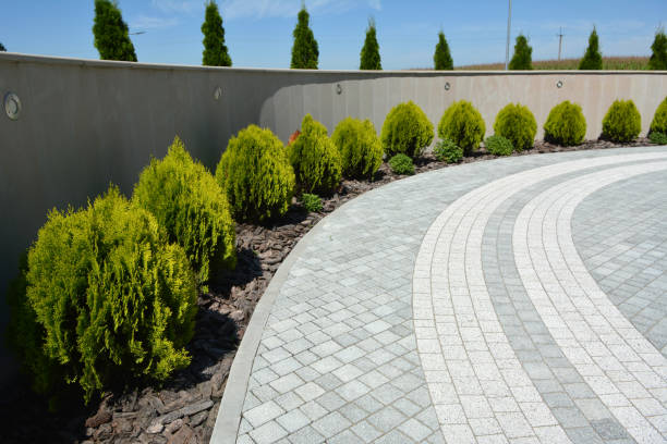 Reasons to Select Us for Your Driveway Paving Requirements in Clarksville, VA